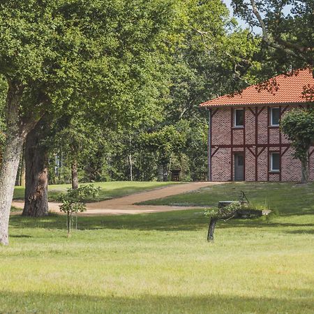 Maison Montaut Onesse-et-Laharie 外观 照片